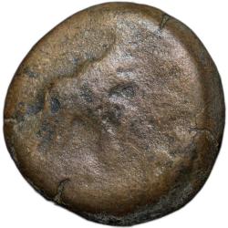Copper Heavy Coin of Satkarni I(100 BC) of Satavahana Dynasty from Nevesa Region Elephant/Tree