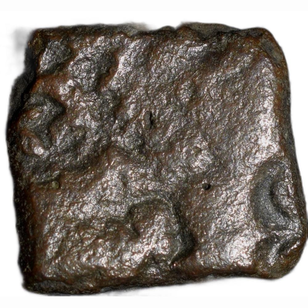 Copper Punch-Marked of Damabhadra of Bhadra/Mitra Dynasty (2nd Cen. BC) Bull, Ujjaini, Tree