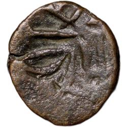 Alternative view of Copper Kakani of Deva Naga(AD 320-335) of Nagas Dynasty Bull/Trident type