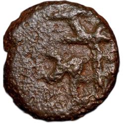 Copper Coin of Mitra Rulers(200 BC) from Central India Triagular Headed in Railing/Flower