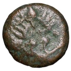 Copper Coin of Nawabs of Arcot(18th Cen. AD) with Garuda standing facing