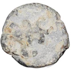 Lead Coin of Pre-Satavahana (2nd Cen. BC) from Nashik Region Bull/Ujjaini