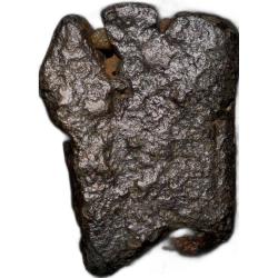 Alternative view of Copper Coin of Pre-Satavahana(200 BC) from Vidarbha Region with Chhatra in Railing Uniface