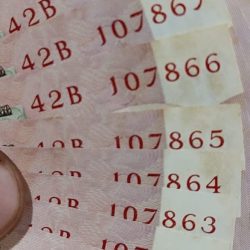 Alternative view of 786 ,Ten Rupees Peacock packet serial wise 100 Note Gov, R. N. Malhotra With 10 note middle 786