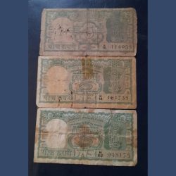 4 DEER 🦌 note green colour WEAK condition. As images Same and similar piece available