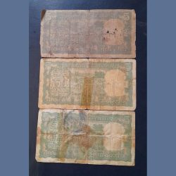 Alternative view of 4 DEER 🦌 note green colour WEAK condition. As images Same and similar piece available