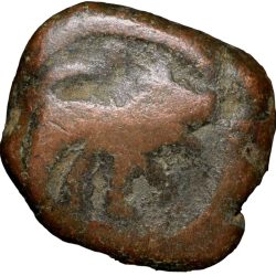 Copper Paisa of Hyderabad Feudatory 'Elichpur' (18th Cen. AD) Lion Right Facing New Type