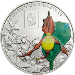 100 Shillings Green Sea Turtle Tanzania WWF Collection 25Gms