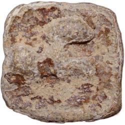 Lead Coin of Satavahan Dynasty(1st Cen. BC) from Paithan Region with Galloping Lion Right Rare