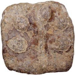 Alternative view of Lead Coin of Satavahan Dynasty(1st Cen. BC) from Paithan Region with Galloping Lion Right Rare