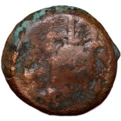 Alternative view of Copper Coin of Satakarni I (1st Cen. BC) of Satavahan Dynasty from Vidarbha (Buldhana) Heavy Weight