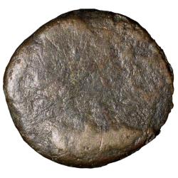 Alternative view of Copper Coin of Pre-Satavahana (2nd Cen. BC) from Vidarbha(Buldhana) Region with Muscular Lion/Bull t