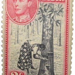 Postal Stamp of Ceylon(Sri Lanka) of George VI 2 Cents of Red-Black Colour Mint Un-Used Condition as