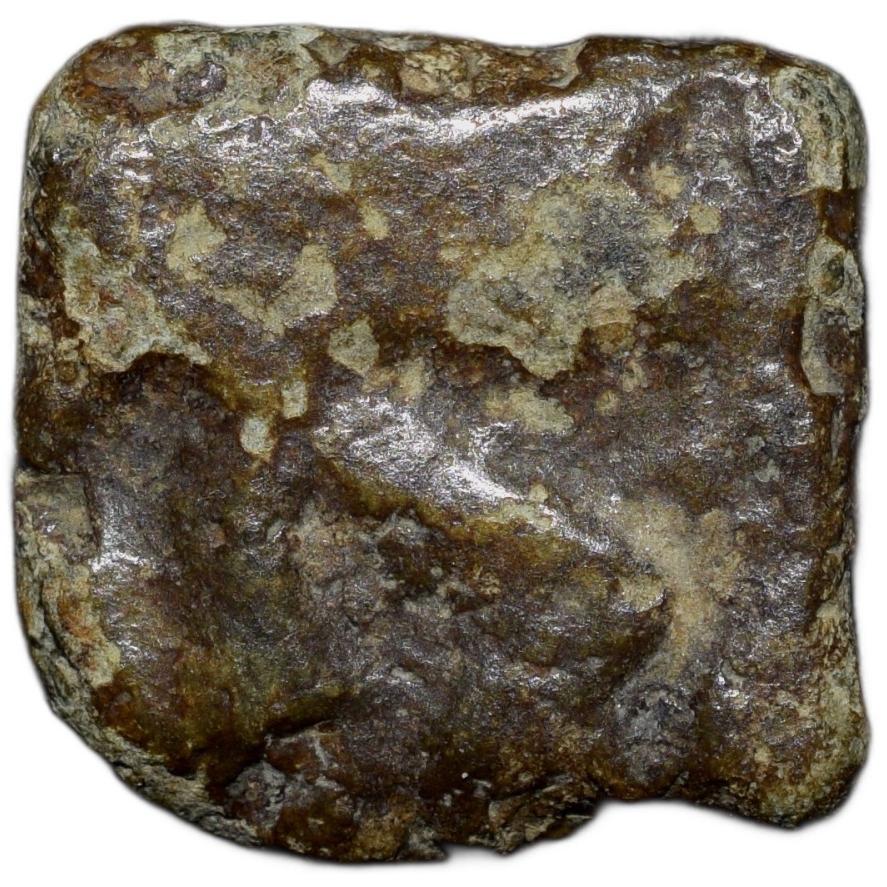 Copper Coin of City-State Bhadravati(1st Cen. BC) with Elephant/Armed Wheel-Tree Railing Rare - Image 2