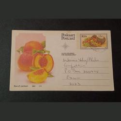 RUSSIA Year 1982 POSTCARD On Oil Painting of Fruits.