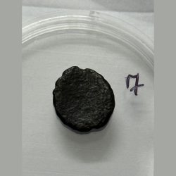 Alternative view of Ancient Shiv Putli Standing Coin 2.400 GMS UJJAIN MINT WITH TREE