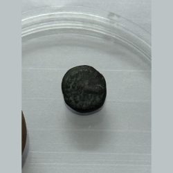 Ancient Bull Coin WEIGHT .920GMS