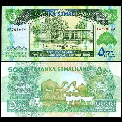 Somaliland 5000 Shilling World Banknote Collection Unique and Rare