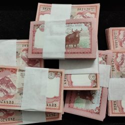 Nepal 5 ruppes 100 note unc packet lowest price buyer recieve 1 packet