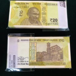 Rs 20 India Banknote Replacement Issue or Star Issue 10C Inset S Serial Bundle GEM UNC 2021 RARE