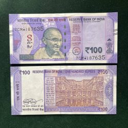 GS - 86 Rs 100 India Banknote Star Replacement Issue 7Cm INSET E 2018 Limited Issue