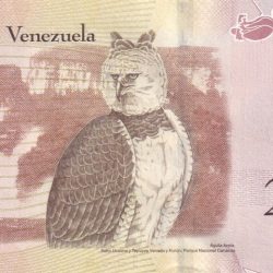 Alternative view of Venezuela 2000 Bolívares Rare Top GEM UNC Note