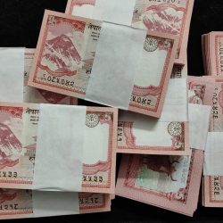 Alternative view of Nepal 5 ruppes 100 note unc packet lowest price buyer recieve 1 packet