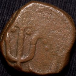 Alternative view of Copper Paisa of Bhopal Feudatory - Narsingarh State (1700-1800 AD) with Trishul Mint Mark