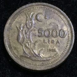 Turkey 5000 Lira 1995 Rare Coin Lowest price #I-135