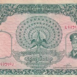 Myanmar 100 Kyats Rare Note Side Torn Note Buyer will receive same note as per Image