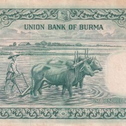 Alternative view of Myanmar 100 Kyats Rare Note Side Torn Note Buyer will receive same note as per Image