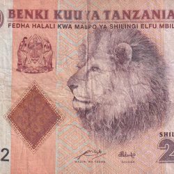 Tanzania 2000 Shillings Old Lowest price bank Note