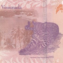 Alternative view of Venezuela 50 Bolívares GEM UNC Note