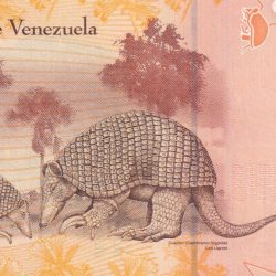 Alternative view of Venezuela 5 Bolívares GEM UNC Note