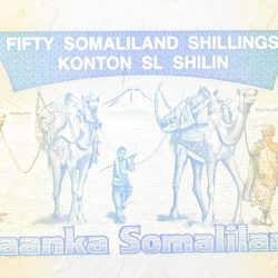 Alternative view of 50 Shillings of Somaliland Country (AD 2002) with Historic house "Goodirka"/Camel caravan UNC Grade