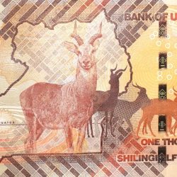 1000 Shillings of Uganda (AD 2022) with Antelope inside outline of country at center