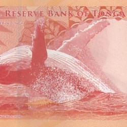 Alternative view of Tonga 2 Pannga UNC 2023-2024 New Note
