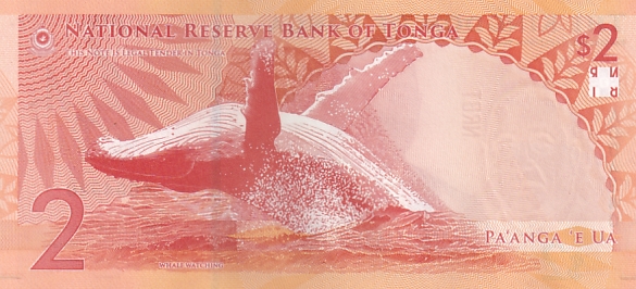 Tonga 2 Pannga UNC 2023-2024 New Note - Image 2