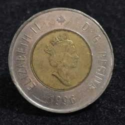 1996 Canada 2 Dollars - Elizabeth II Polar bear Lowest Price Rare Bimetallic coin #A-100