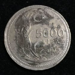 (1994) Turkey 5000 Lira Lowest Price coin #A-118
