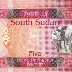 Alternative view of 5 Sudanese Pound of South Sudan (AD 2015) with Sanga Juba cattle of the Dinka people