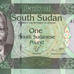 1 Sudanese Pound of South Sudan (AD 2011) with A herd of giraffes
