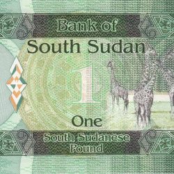 Alternative view of 1 Sudanese Pound of South Sudan (AD 2011) with A herd of giraffes
