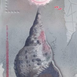 Alternative view of Maldives 5 Rufiyaa Polymer LOWEST PRICE NOTE #B-2