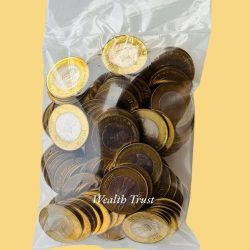 Rs 10 Anniversary of S Radhakrishnan 100 Coin RBI SEAL Packet India Commemorative Issue Hyderabad