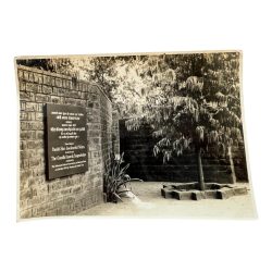 P48 - INDIA original vintage photograph Political Series Unique and Rare