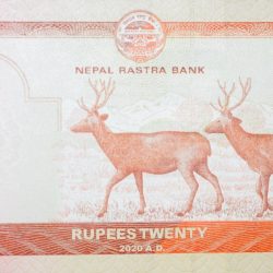 20 Rupees of Nepal Country (AD 2020) with Sambar deer (Rusa unicolor), Himalayan mountains