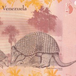 Alternative view of Venezuela 5 Bolívares GEM UNC Note