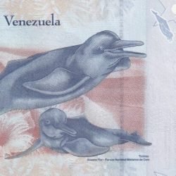 Alternative view of Venezuela 2 Bolívares GEM UNC Note
