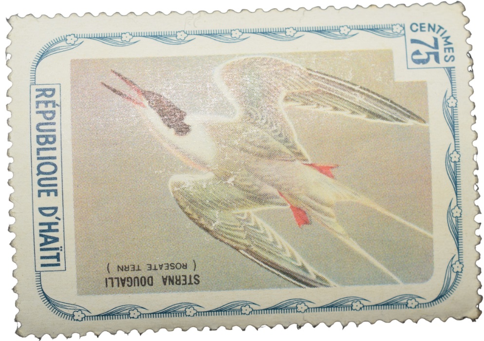 Postage Stamp of D'Haiti with Bird 'Sterna Dougalli' 75 Centimes - Mint Un-Used Condition as per Image.